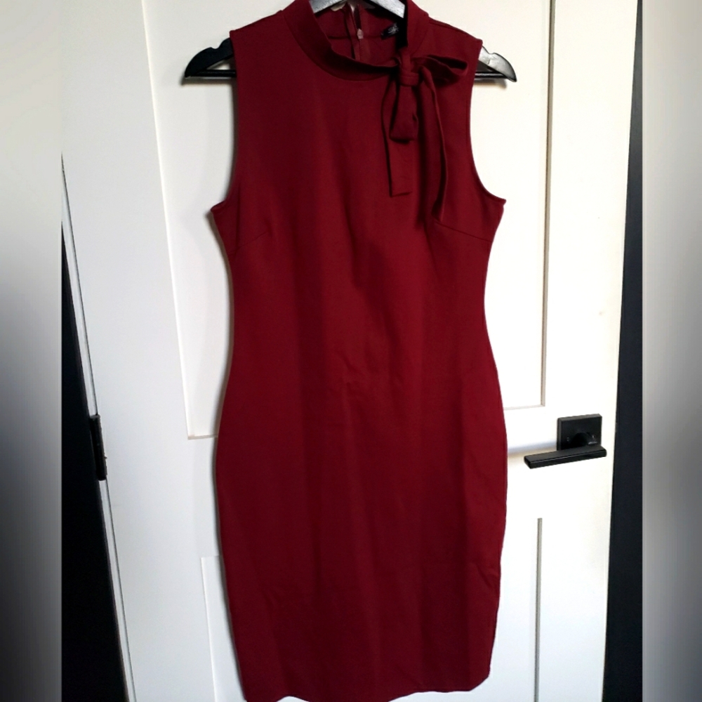Burgundy bodycon dress Shinestar